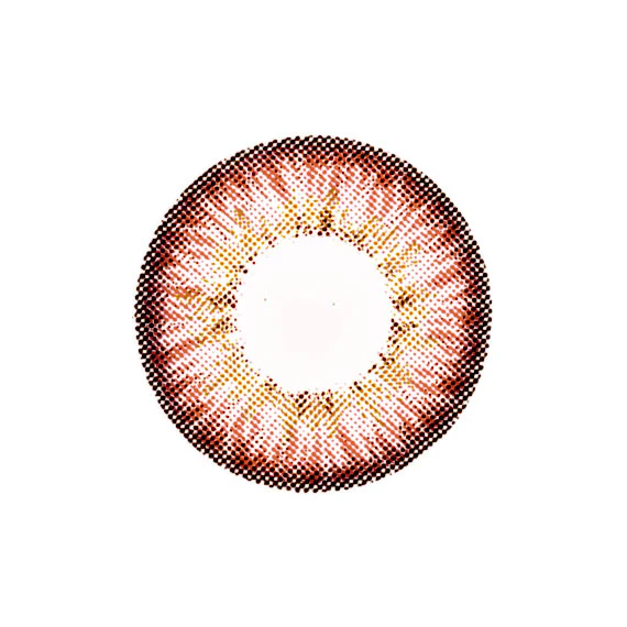 G&G Shinny Hazel (known as Puffy 3 tone) - Image 2