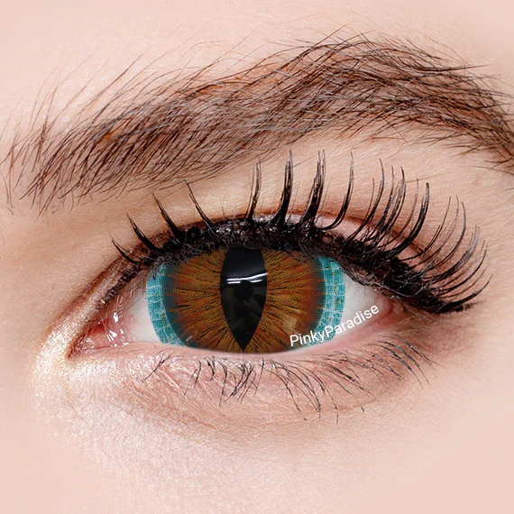 11.11 sale: $23.90 lenses & above