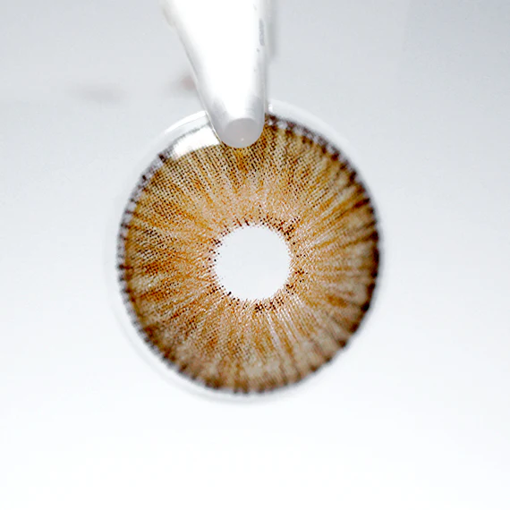 Uris Arctic Brown - Image 4