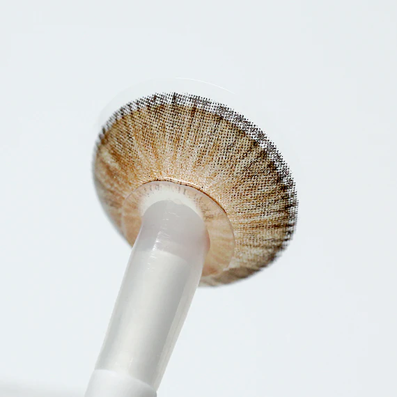 Uris Arctic Brown - Image 5