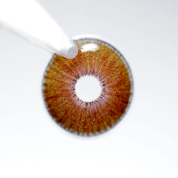 Uris Arctic Hazel - Image 4