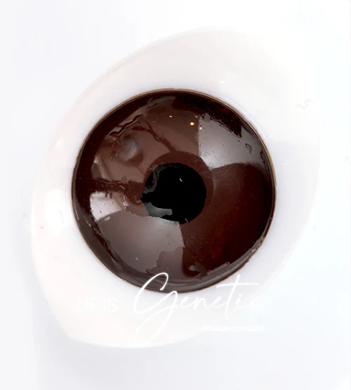 Uris Genetic Brown - Image 3