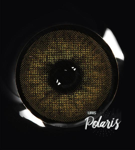 Uris Polaris Brown - Image 3